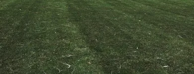 Business 2 image COLLINS MOWING in Bethany IL
