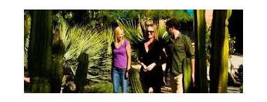 Business 1 image COTTONWOOD TUCSON Relapse Prevention in Tucson AZ