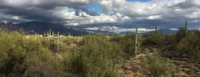 Business 5 image COTTONWOOD TUCSON Relapse Prevention in Tucson AZ