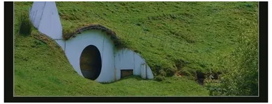 Business 6 image CRUISES ETC Wedding Supplies & Services in San Jose CA