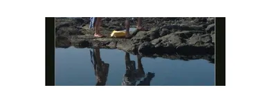 Business 4 image CRUISES ETC Wedding Supplies & Services in San Jose CA