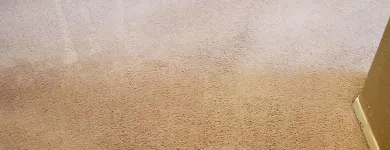 Business 2 image CTG CARPET-TILE-GROUT CLEANING Vehicle Upholstery Cleaning in Lakeside CA