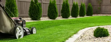 Business 3 image D&M MAINTENANCE SERVICES, LLC Landscaper in Saint Louis MO