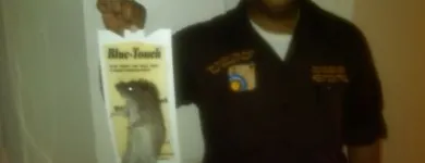 Business 4 image DC CLEANEX PEST CONTROL Spiders in Bronx NY