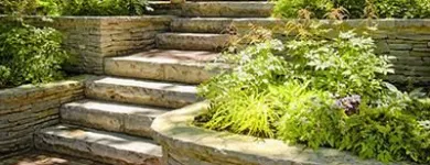Business 6 image DE LA ROSA LANDSCAPING Lawn Care Service in San Diego CA