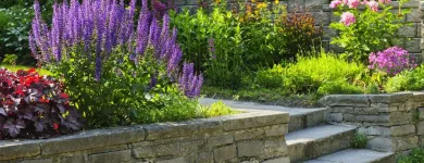 Business 7 image DE LA ROSA LANDSCAPING Lawn Care Service in San Diego CA