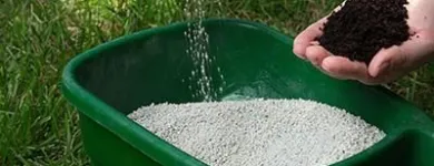 Business 9 image DE LA ROSA LANDSCAPING Lawn Care Service in San Diego CA