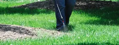 Business 10 image DE LA ROSA LANDSCAPING Lawn Care Service in San Diego CA
