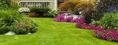 Business 11 image DE LA ROSA LANDSCAPING Lawn Care Service in San Diego CA