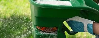 Business 14 image DE LA ROSA LANDSCAPING Lawn Care Service in San Diego CA
