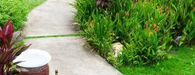 Business 15 image DE LA ROSA LANDSCAPING Lawn Care Service in San Diego CA