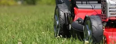 Business 16 image DE LA ROSA LANDSCAPING Lawn Care Service in San Diego CA