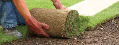 Business 19 image DE LA ROSA LANDSCAPING Lawn Care Service in San Diego CA
