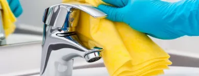 Business 1 image DEE MAIDS LLC House Cleaning in St. Louis MO