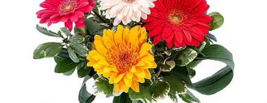 Business 2 image DENIS FLOWERS & GIFTS in New Milford NJ