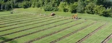 Business 7 image DIVERSIFIED DRAINAGE Plumbers in Minneapolis MN