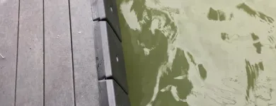 Business 34 image DOCKS BY ARI Painting Contractors in Horseshoe Bay TX