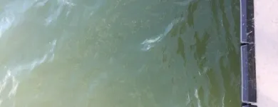 Business 37 image DOCKS BY ARI Painting Contractors in Horseshoe Bay TX