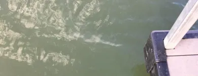 Business 38 image DOCKS BY ARI Painting Contractors in Horseshoe Bay TX