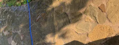 Business 46 image DOCKS BY ARI Painting Contractors in Horseshoe Bay TX