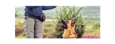 Business 7 image DOG BEHAVIORIST ORANGE COUNTY Pet Training in East Irvine CA