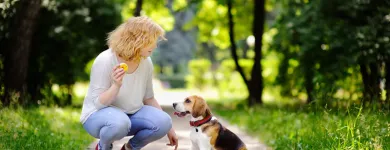 Business 3 image DOG BEHAVIORIST ORANGE COUNTY Pet Training in East Irvine CA