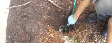 Business 2 image DRAIN GENIE PLUMBING SERVICES Water Treatment Equipment & Service in Deltona FL