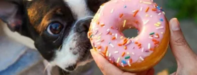 Business 53 image DUNKIN' Tea in Tucson AZ