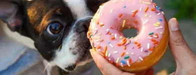 Business 52 image DUNKIN' Tea in Tucson AZ