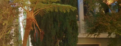 Business 22 image EAGLE WINDOW CLEANING Window Cleaning in San Francisco CA