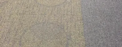 Business 2 image ECODRY CARPET CLEANING LAS VEGAS Upholstery Cleaning in Las Vegas NV