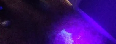 Business 5 image ECODRY CARPET CLEANING LAS VEGAS Upholstery Cleaning in Las Vegas NV