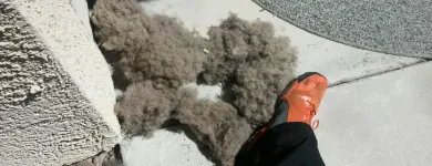 Business 6 image ECODRY CARPET CLEANING LAS VEGAS Upholstery Cleaning in Las Vegas NV