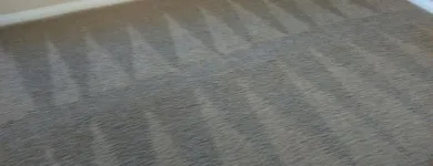 Business 12 image ECODRY CARPET CLEANING LAS VEGAS Upholstery Cleaning in Las Vegas NV