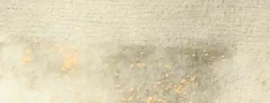 Business 13 image ECODRY CARPET CLEANING LAS VEGAS Upholstery Cleaning in Las Vegas NV