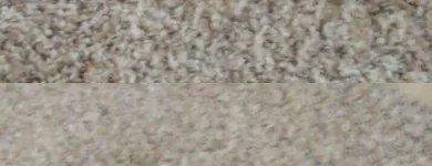 Business 15 image ECODRY CARPET CLEANING LAS VEGAS Upholstery Cleaning in Las Vegas NV