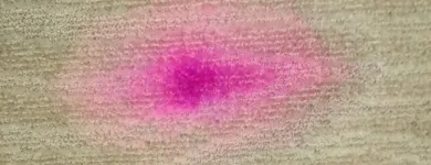 Business 21 image ECODRY CARPET CLEANING LAS VEGAS Upholstery Cleaning in Las Vegas NV