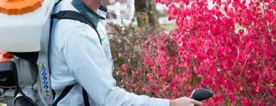 Business 5 image EDGE PEST CONTROL AND MOSQUITO SERVICES Wasps in Colorado Springs CO