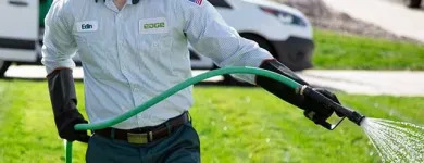 Business 6 image EDGE PEST CONTROL AND MOSQUITO SERVICES Wasps in Colorado Springs CO