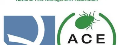 Business 7 image EDGE PEST CONTROL AND MOSQUITO SERVICES Wasps in Colorado Springs CO