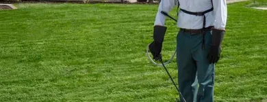 Business 9 image EDGE PEST CONTROL AND MOSQUITO SERVICES Wasps in Colorado Springs CO