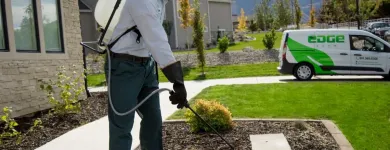 Business 16 image EDGE PEST CONTROL AND MOSQUITO SERVICES Wasps in Colorado Springs CO