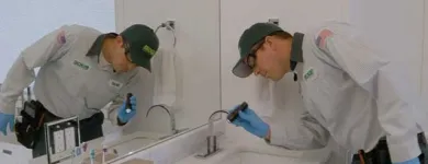 Business 20 image EDGE PEST CONTROL AND MOSQUITO SERVICES Wasps in Colorado Springs CO