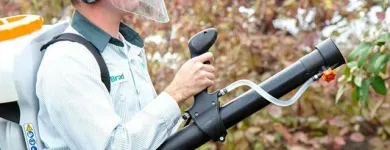 Business 27 image EDGE PEST CONTROL AND MOSQUITO SERVICES Wasps in Colorado Springs CO