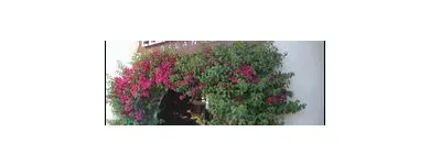 Business 2 image ELEMENTS IN BALANCE SALON AND DAY SPA Skin Care in Tucson AZ