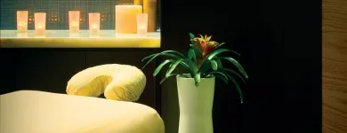 Business 4 image EQUINOX Nutritionists in Dallas TX