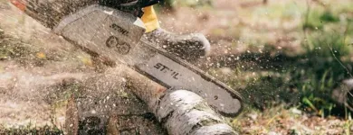 Business 3 image EVER TREE CARE SERVICES Tree Service in Oakland CA