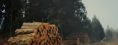 Business 4 image EVER TREE CARE SERVICES Tree Service in Oakland CA