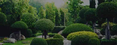 Business 9 image EVERGREEN SPRINKLER AND LANDSCAPING SERVICES Sprinklers-Garden & Lawn in West Palm Beach FL