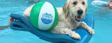 Business 1 image EVOLVE INSURANCE CONSULTANTS Life Insurance Agency in Toledo OH